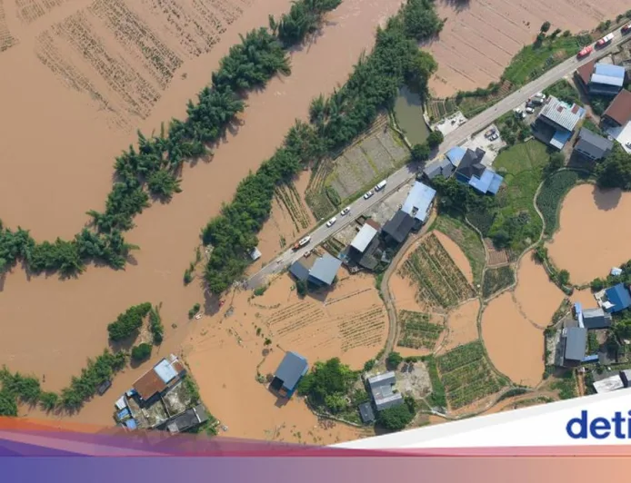 Invasi 900 Ular Berbisa Saat Banjir di China, 1 Wanita Tewas Digigit Kobra