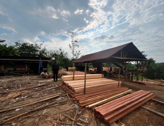 Polda Riau Bongkar Sawmill Ilegal di Kampar, Sita Ratusan Kayu Hasil Pembalakan Liar