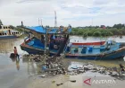 Pemkab Aceh Timur verifikasi ulang 525 nelayan terdampak banjir