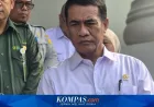 Peternak Ayam Broiler Terancam Gulung Tikar dalam 2 Bulan, Ini Respons Amran