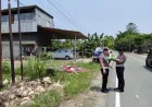 Kecelakaan Maut? Mobil Calya Tabrak Jupiter Z1 di Jalan Trans Sulawesi Baras, Pengendara Luka