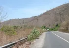 Belum Ada Influenza A, Dinkes Dompu Tetap Perketat Pengawasan