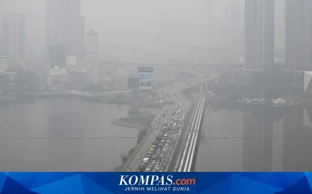 Singapura Bisa Lakukan Tindakan Hukum ke Perusahaan Indonesia, Tapi Ada Risiko Diplomatik