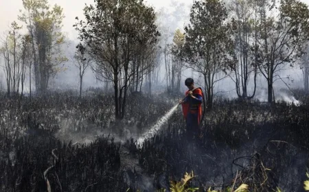Dudung Beberkan 97 Perusahaan Terlibat Karhutla: Sudah Proses Hukum