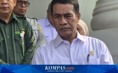 Peternak Ayam Broiler Terancam Gulung Tikar dalam 2 Bulan, Ini Respons Amran