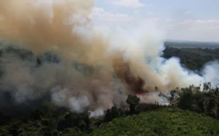 Tindak Perusahaan yang Hanguskan 12 Ribu Hektare Lahan, Kementerian Kehutanan Sanksi 32 Perusahaan Penyebab Karhutla