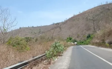 Belum Ada Influenza A, Dinkes Dompu Tetap Perketat Pengawasan