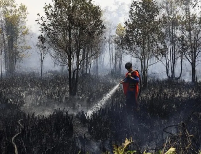 Dudung Beberkan 97 Perusahaan Terlibat Karhutla: Sudah Proses Hukum