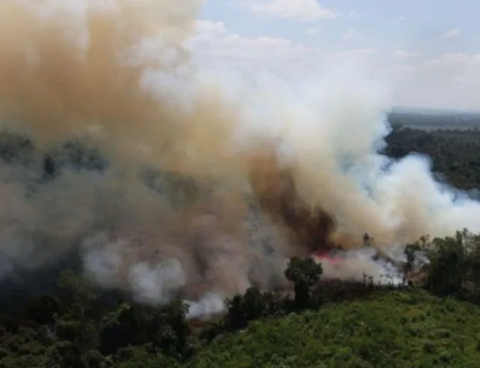Tindak Perusahaan yang Hanguskan 12 Ribu Hektare Lahan, Kementerian Kehutanan Sanksi 32 Perusahaan Penyebab Karhutla